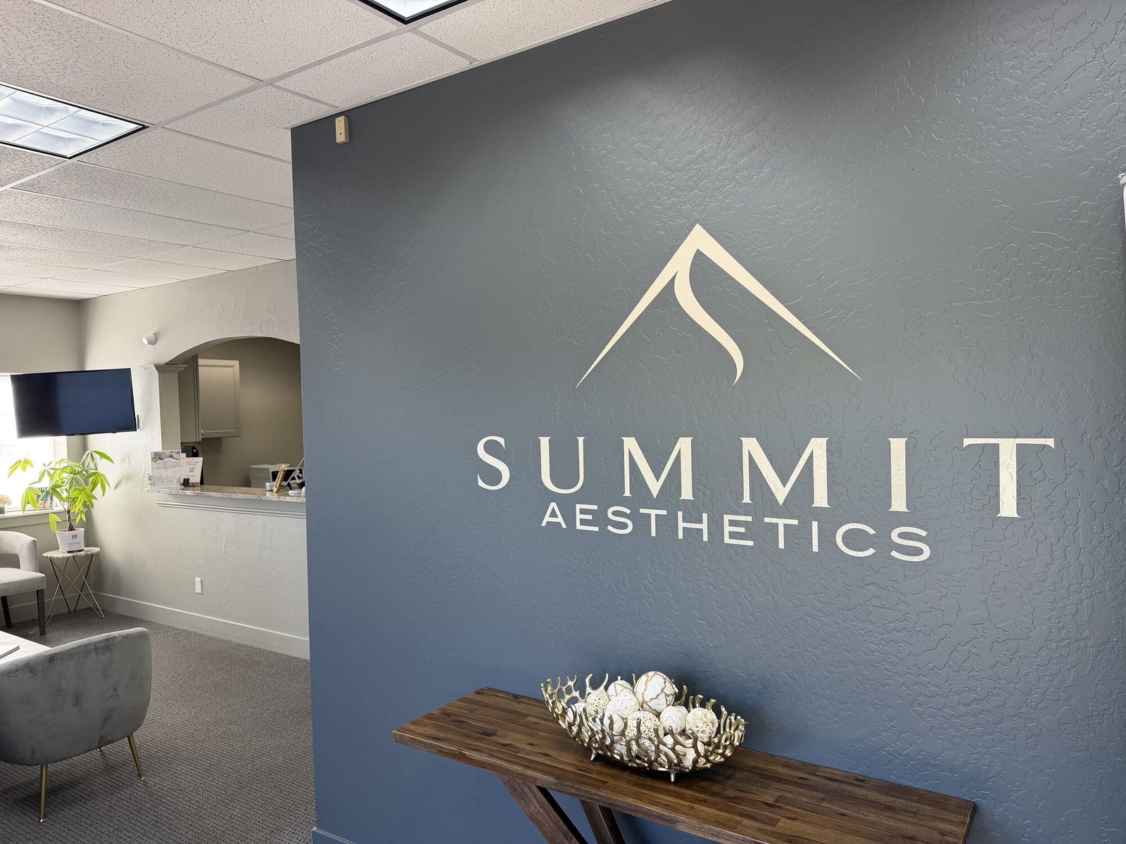 Summit Aesthetics reception and brand logo wall